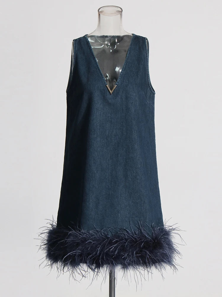 Denim Dress | Valentino Feather and Denim Dress Dupe