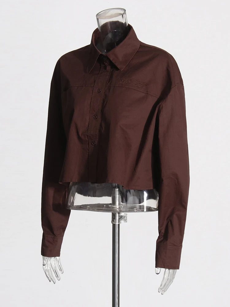 Long Sleeve Shirt Brown