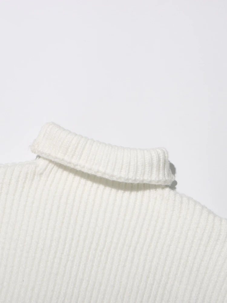 Turtleneck Knit Top