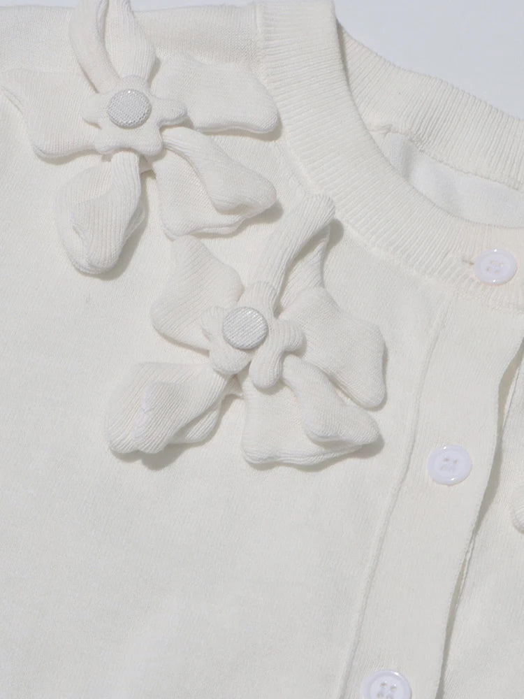 Appliques Knit Top