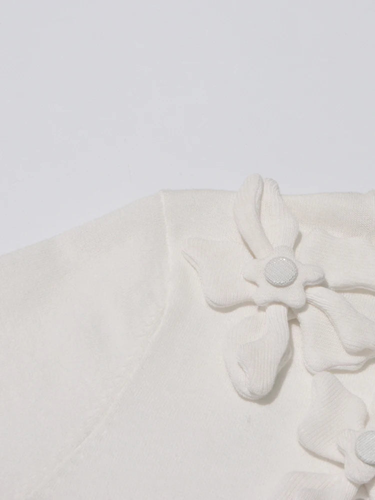 Appliques Knit Top