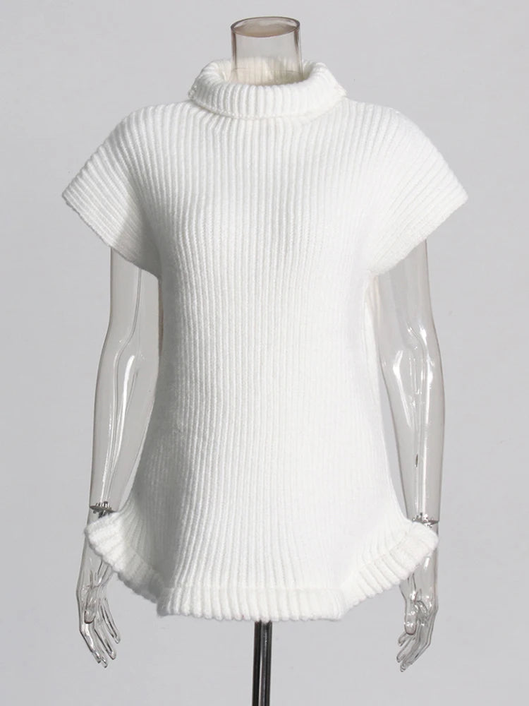 Turtleneck Knit Top