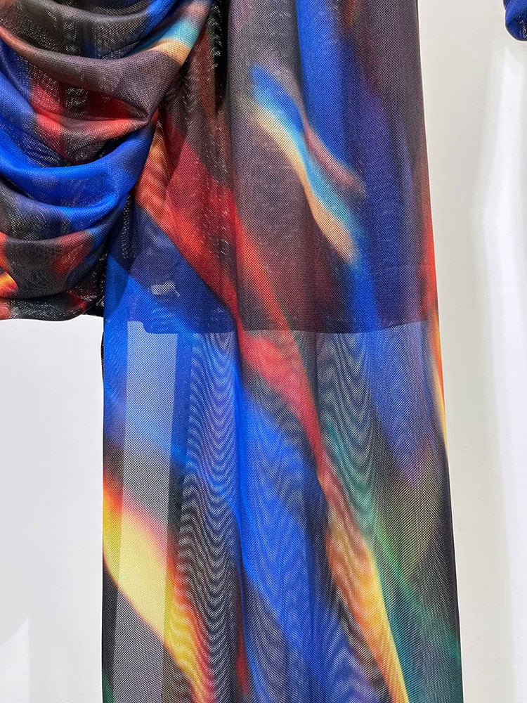 Multicolor Mesh Print Dress